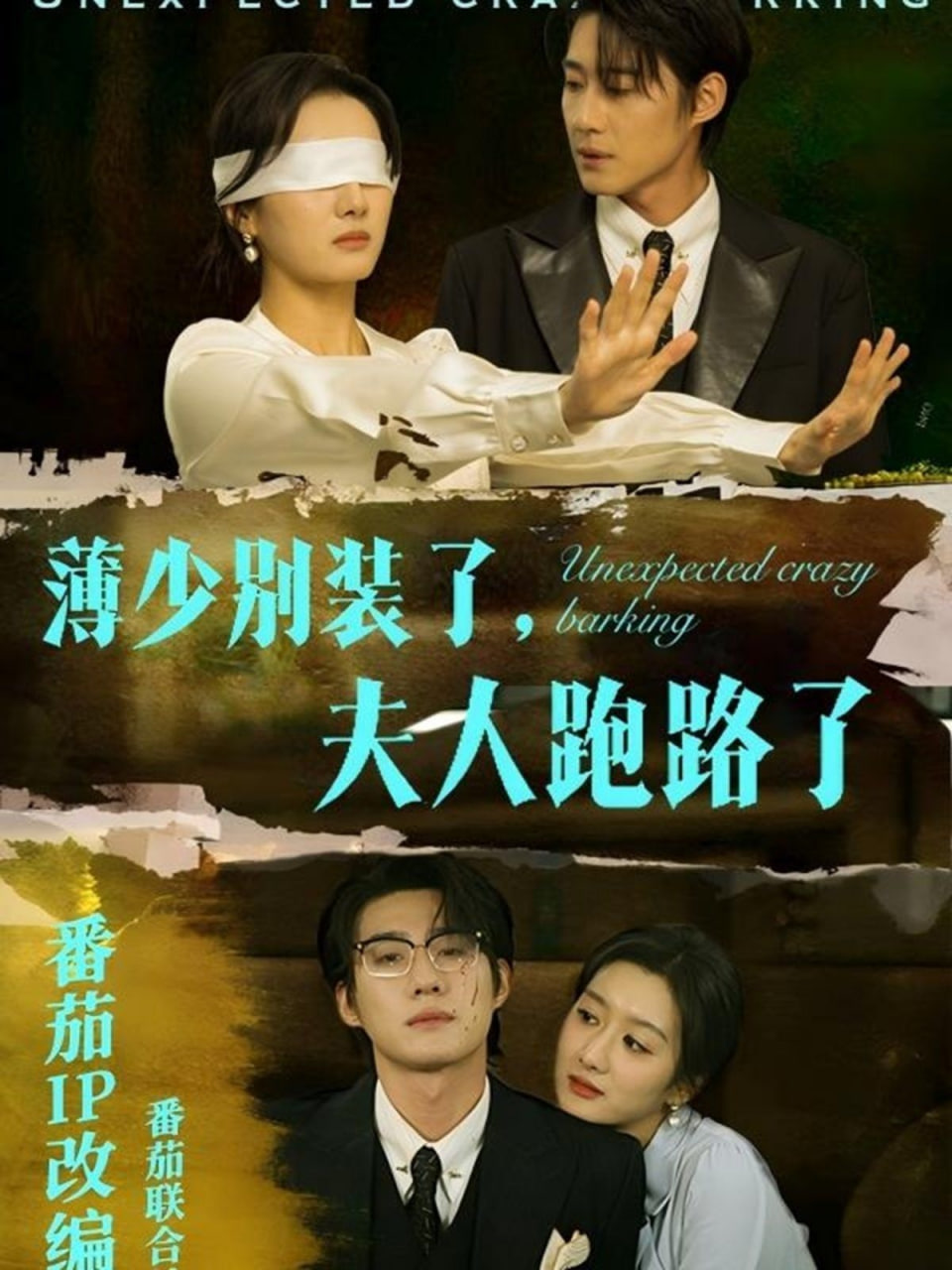 电影：薄少别装了夫人跑路了