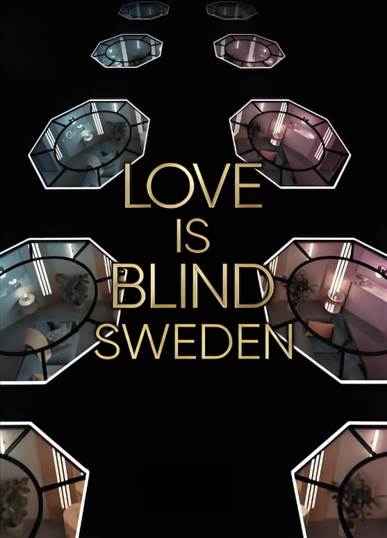电影：爱情盲选：瑞典篇 第二季