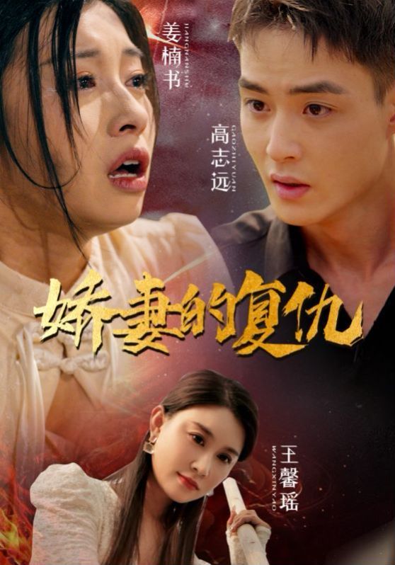 电影：娇妻的复仇
