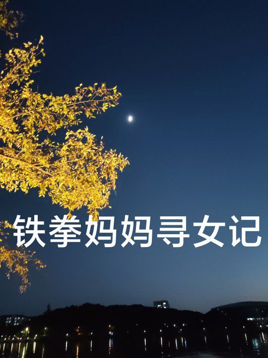 电影：铁拳妈妈寻女记