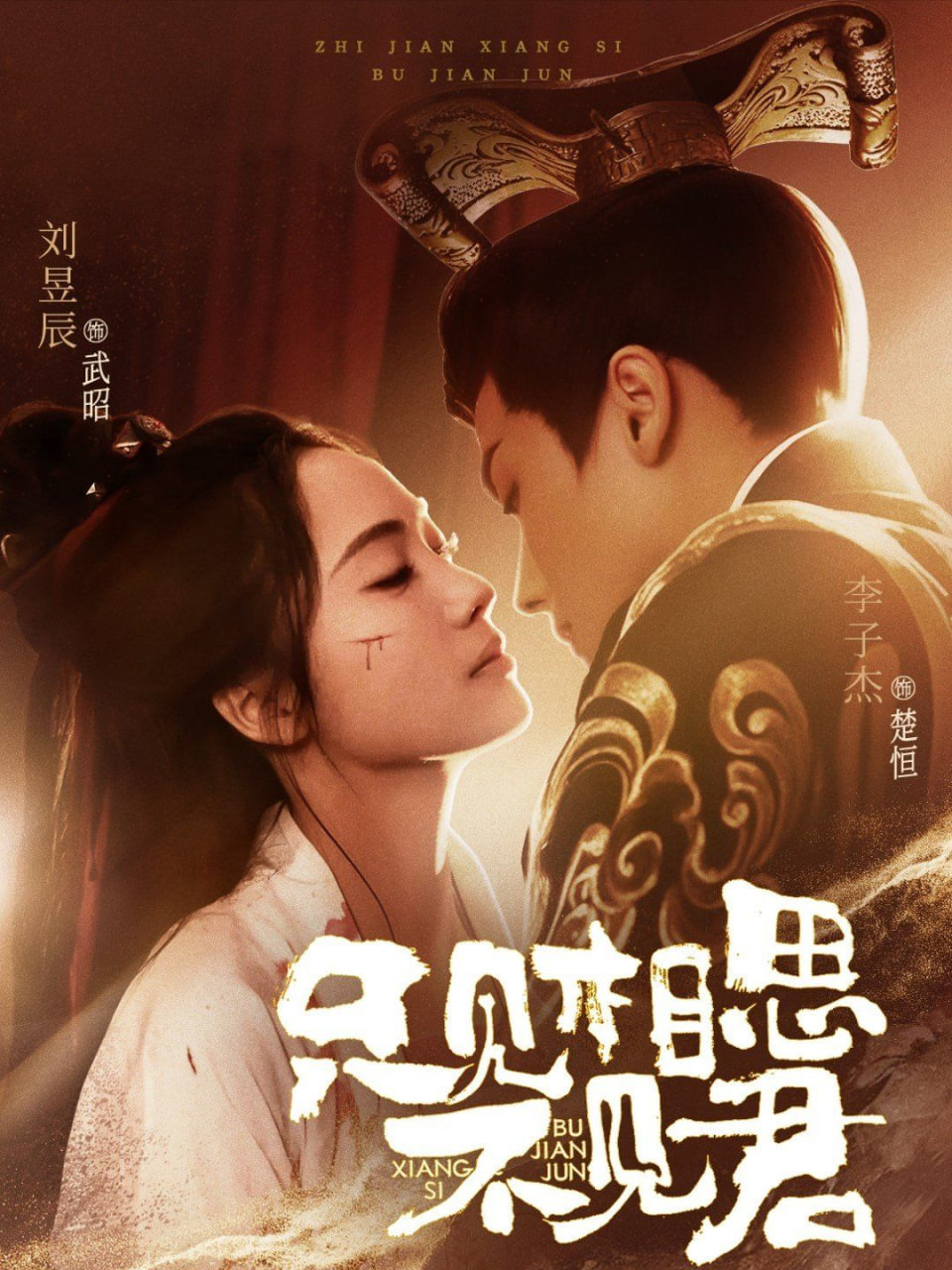 电影:只见相思不见君