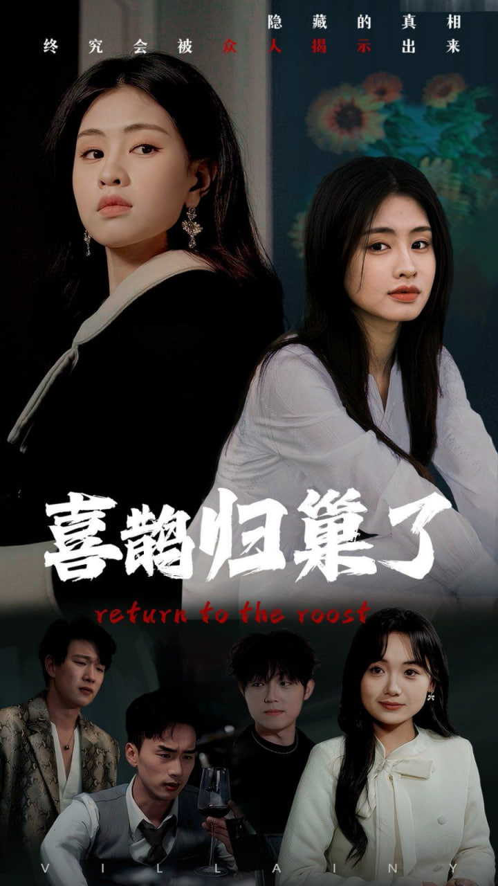 电影：喜鹊归巢了