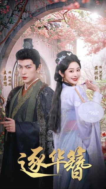 电影：逐华簪