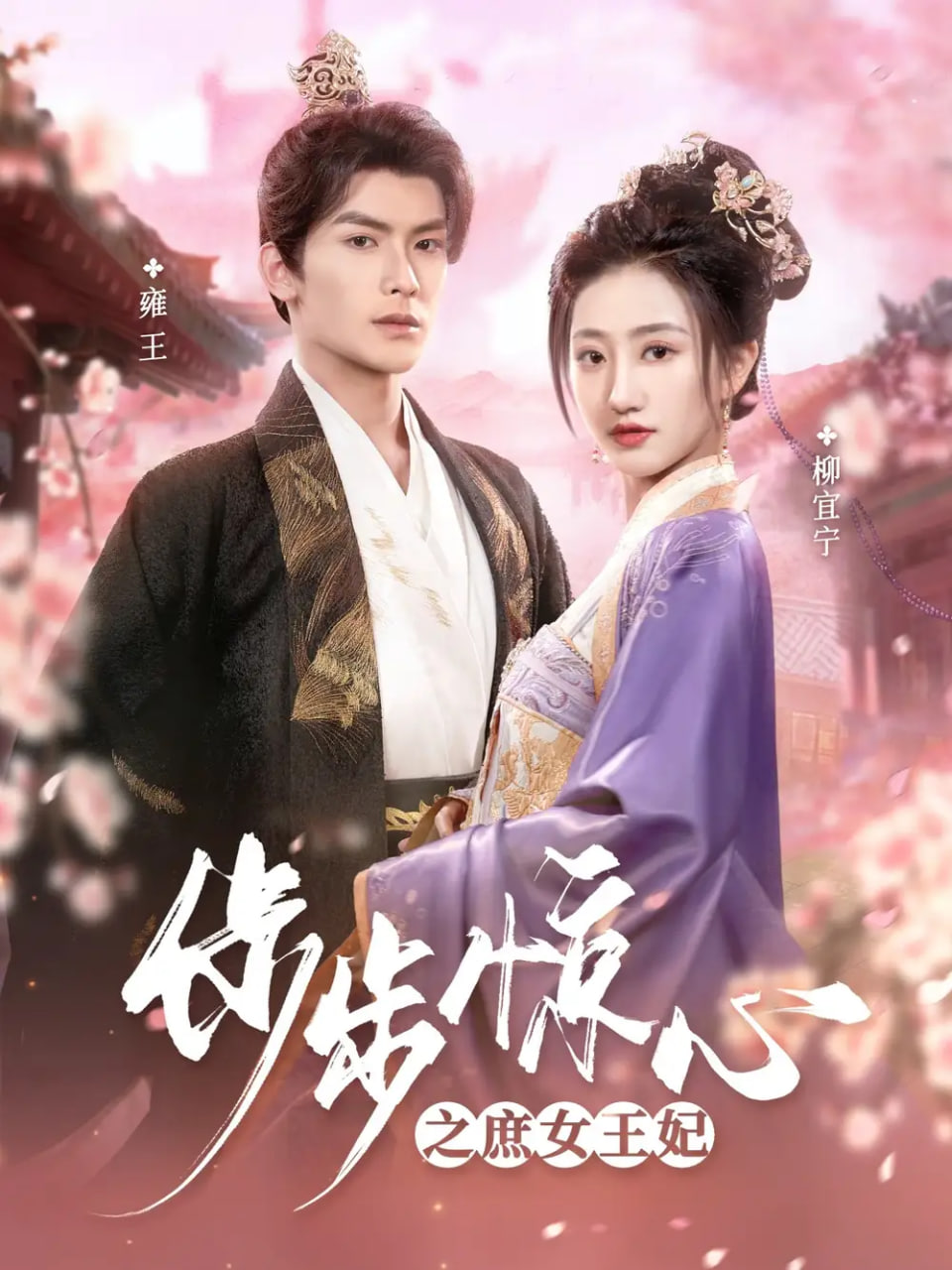 电影：步步惊心之庶女王妃