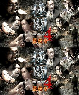 电影:极斗4之暴杀令