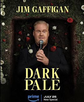 电影：吉姆·加菲根：深灰