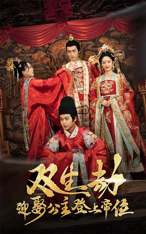 电影:双生劫迎娶公主登上帝位