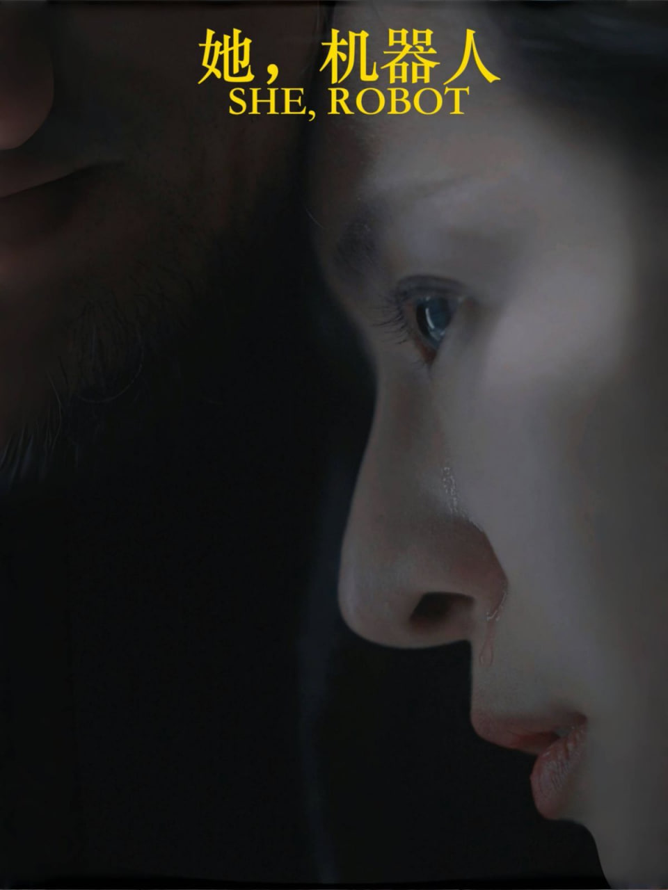 电影:她,机器人