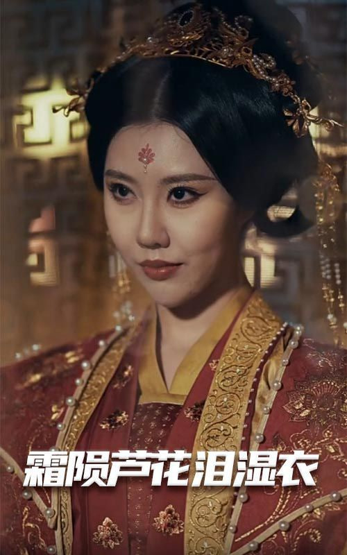 电影:母剑照霜白(霜陨芦花泪湿衣)