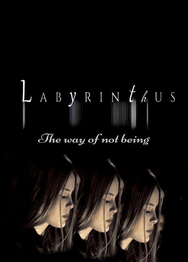 电影:迷宫:不存在的方式