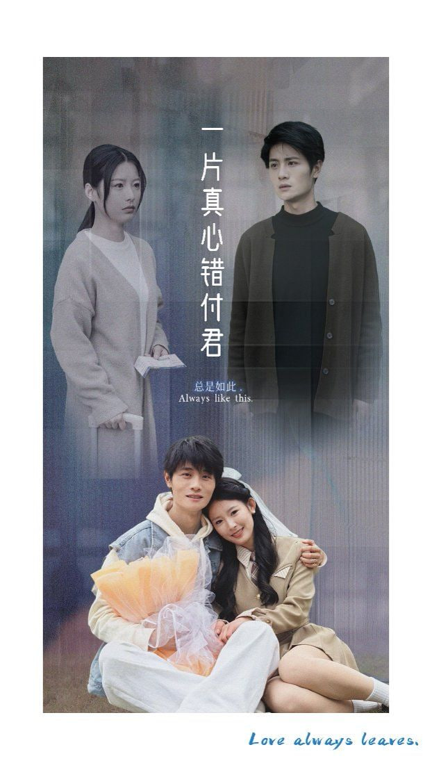 电影：一片真心错付君