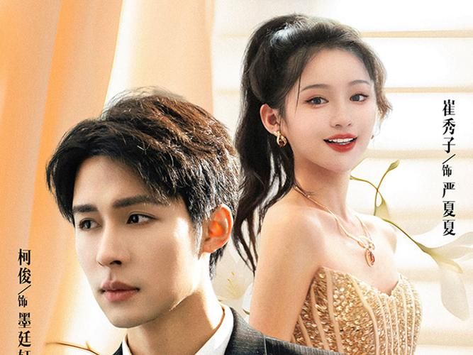 电影：被渣后我闪婚了豪门继承人