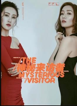 电影：神秘来访者