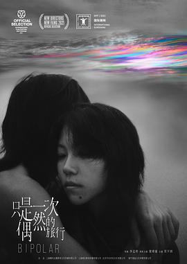 电影:只是一次偶然的旅行