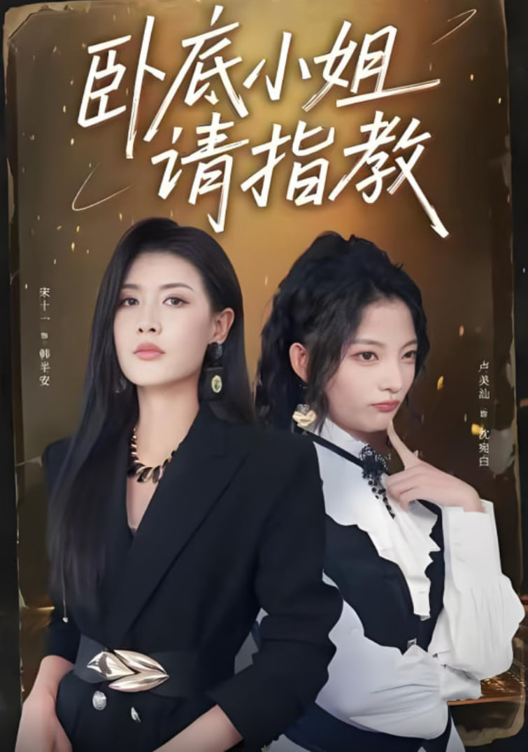 电影：卧底小姐请指教