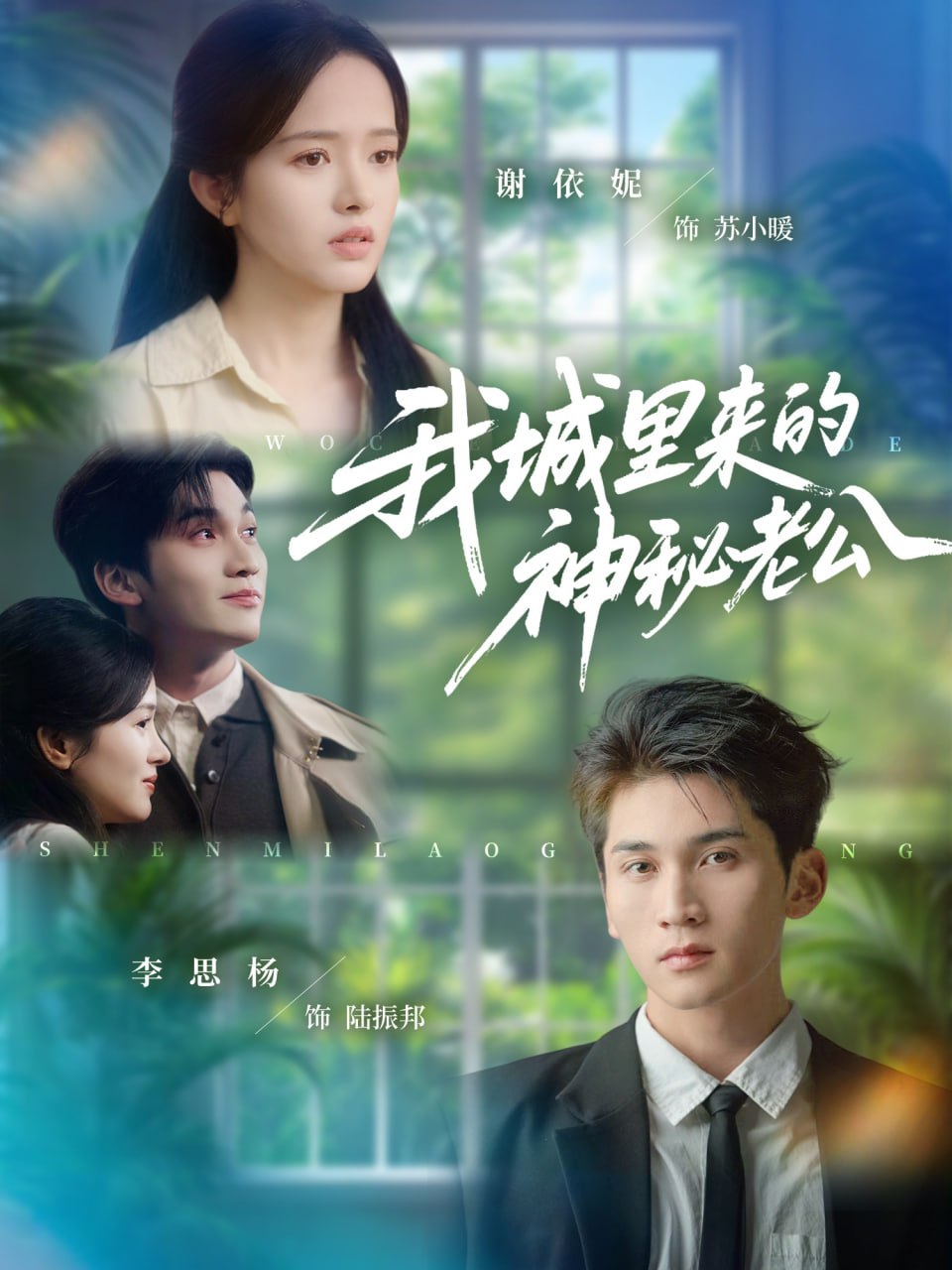 电影：我城里来的神秘老公