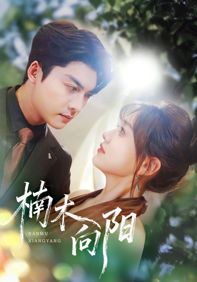 电影：楠木向阳