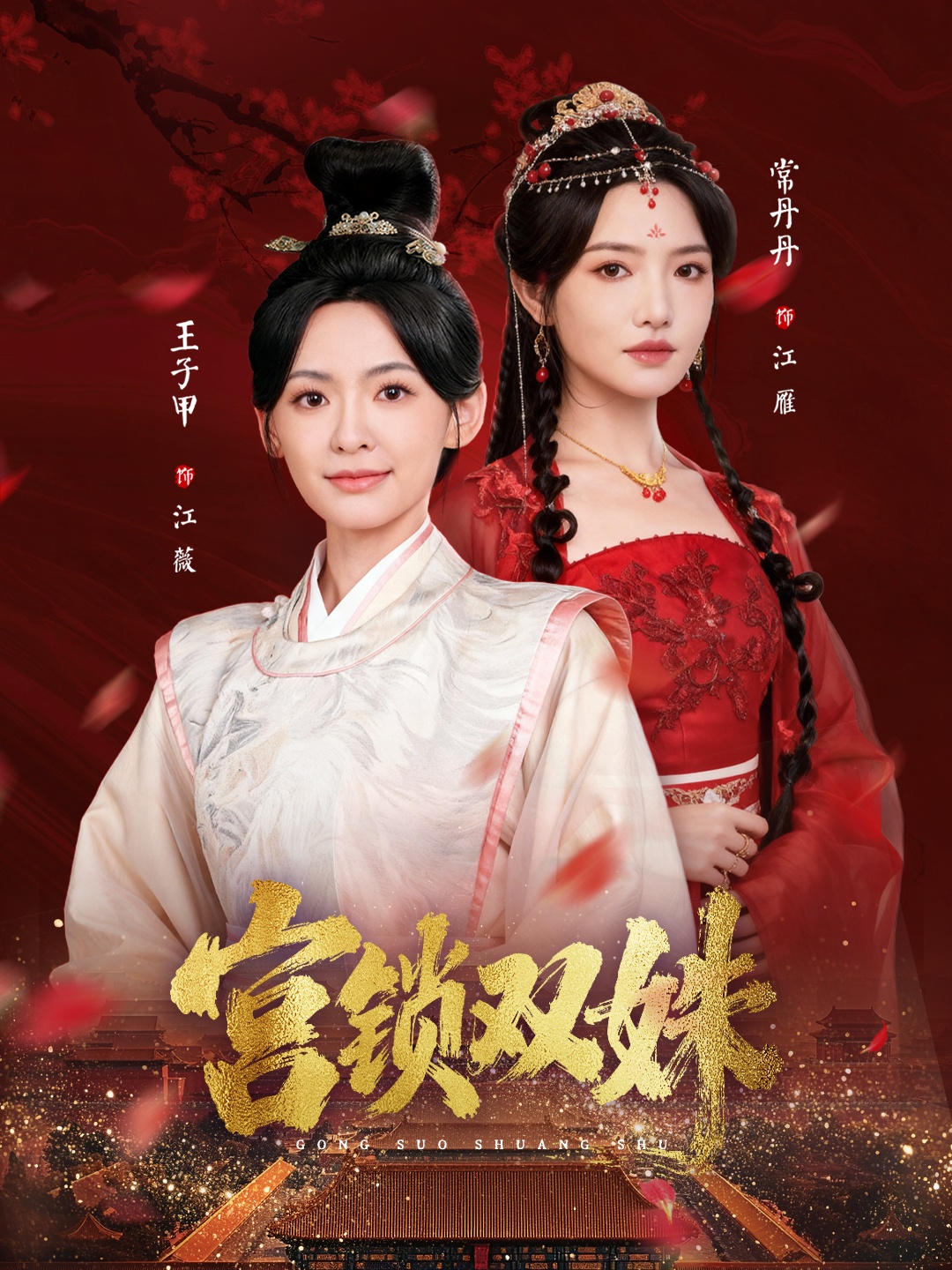 电影：宫锁双姝