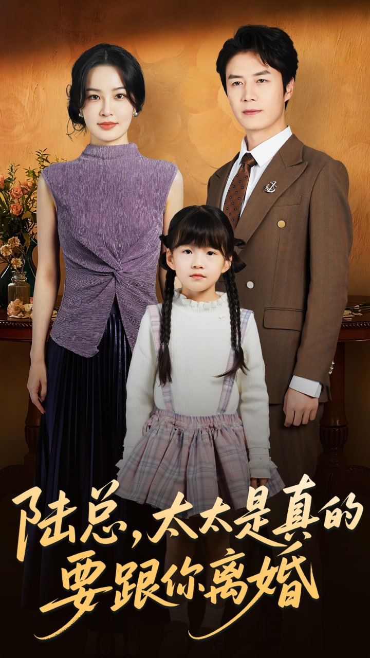 电影：陆总太太是真的要跟你离婚