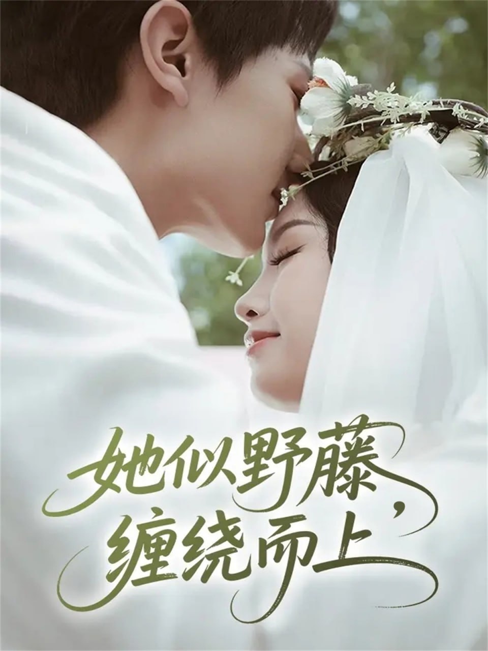 电影：她似野藤，缠绕而上