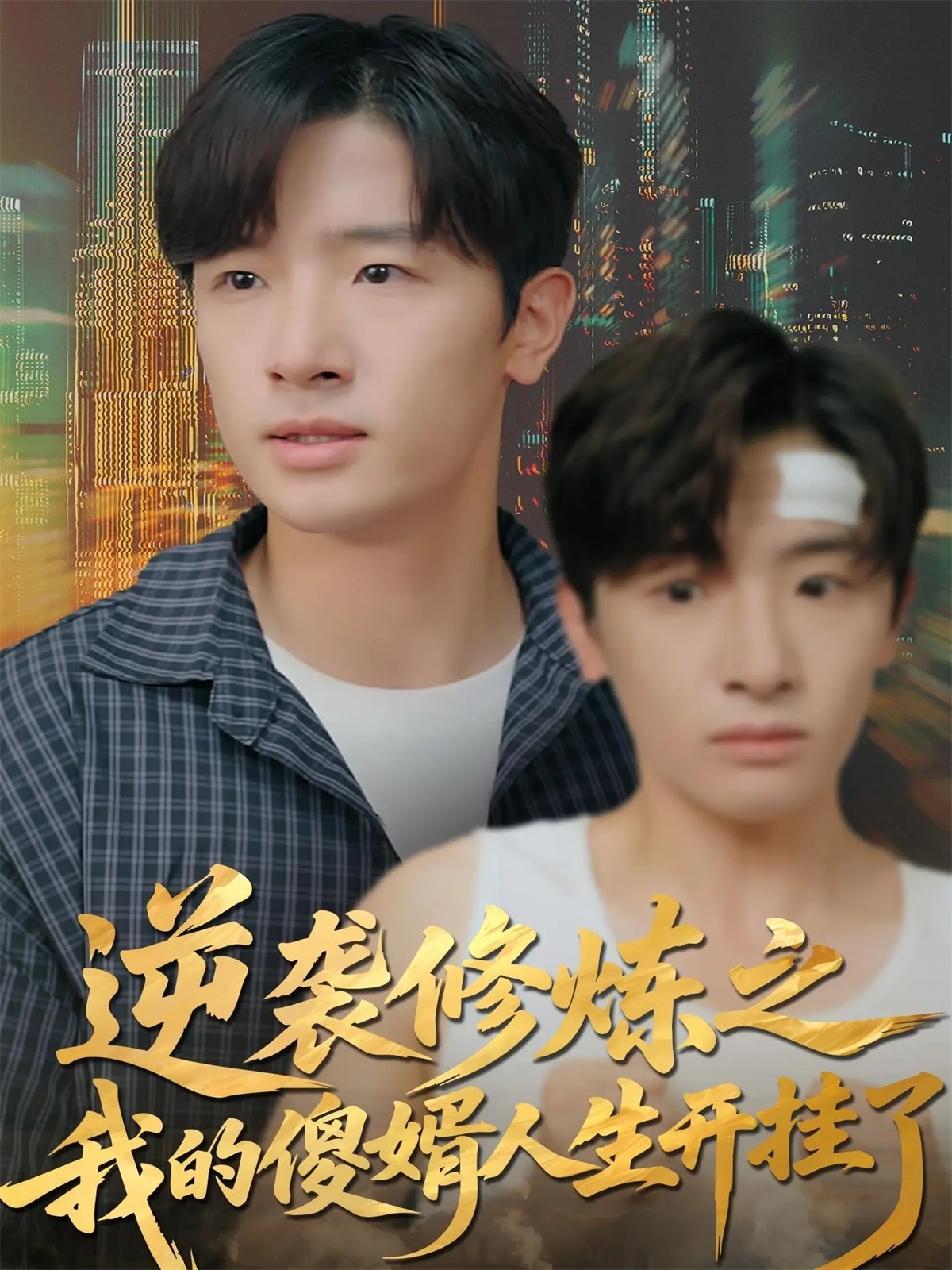 电影:逆袭修炼之我的傻婿人生开挂了