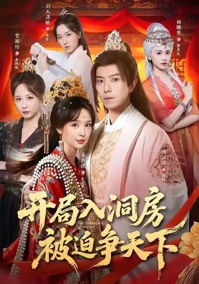 电影:开局入洞房,被迫争天下