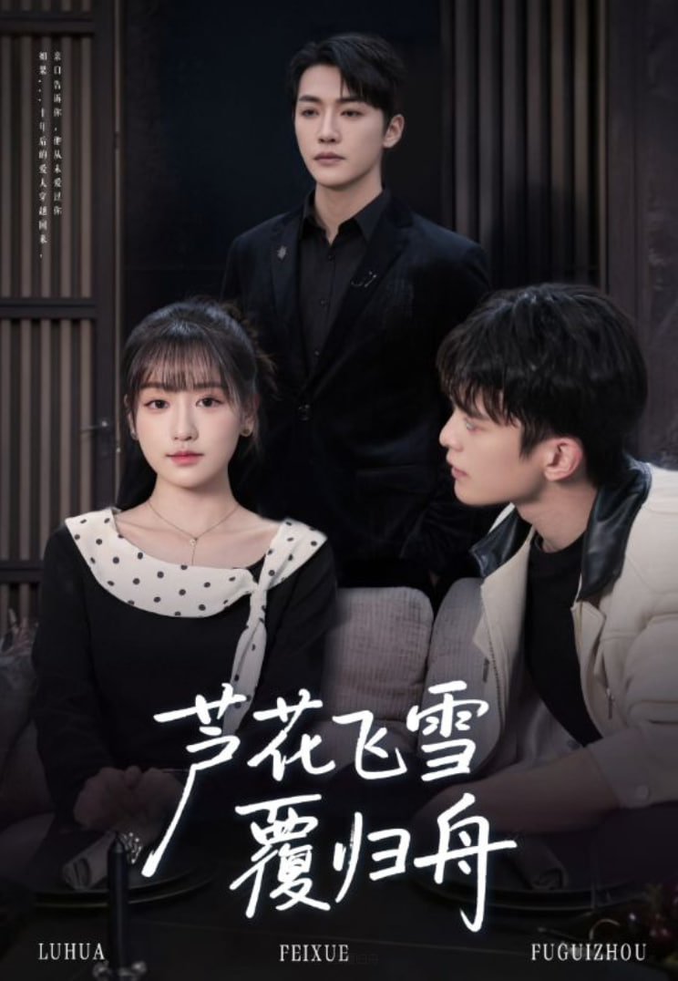 电影:芦花飞雪覆归舟