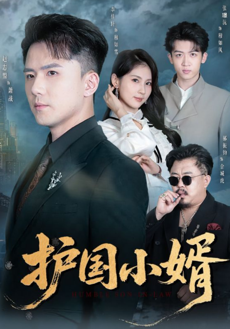电影:护国小婿