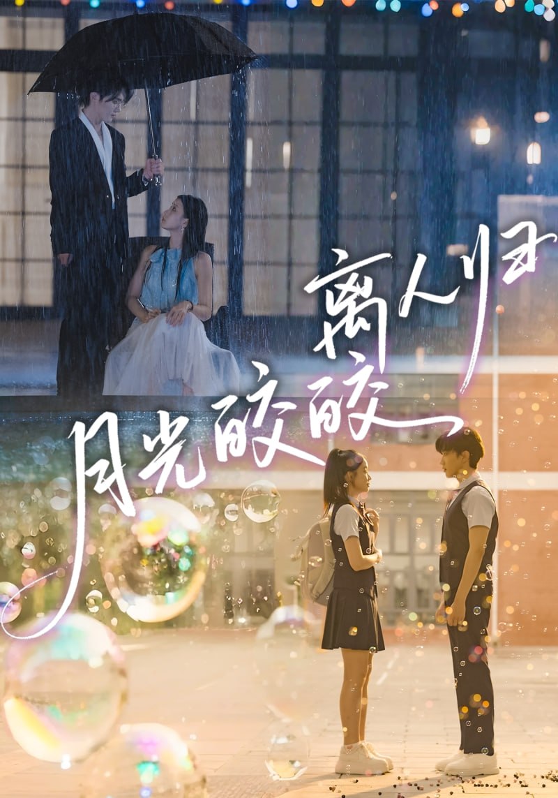 电影：月光皎皎离人归