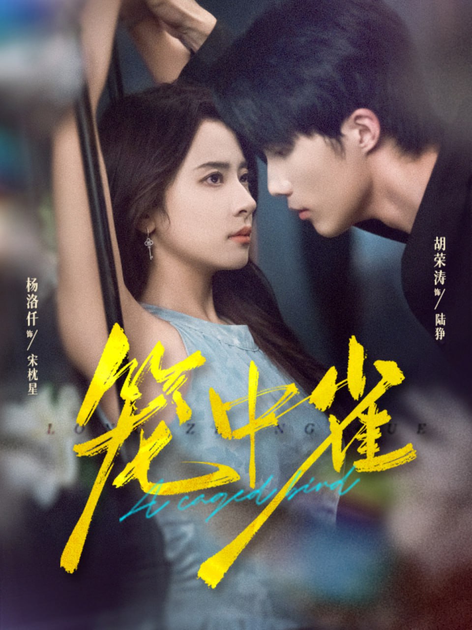 电影：笼中雀 2025